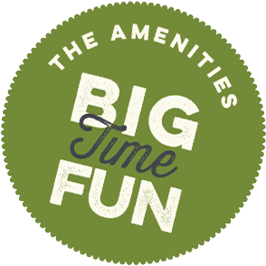 The Amenities - Big Time Fun