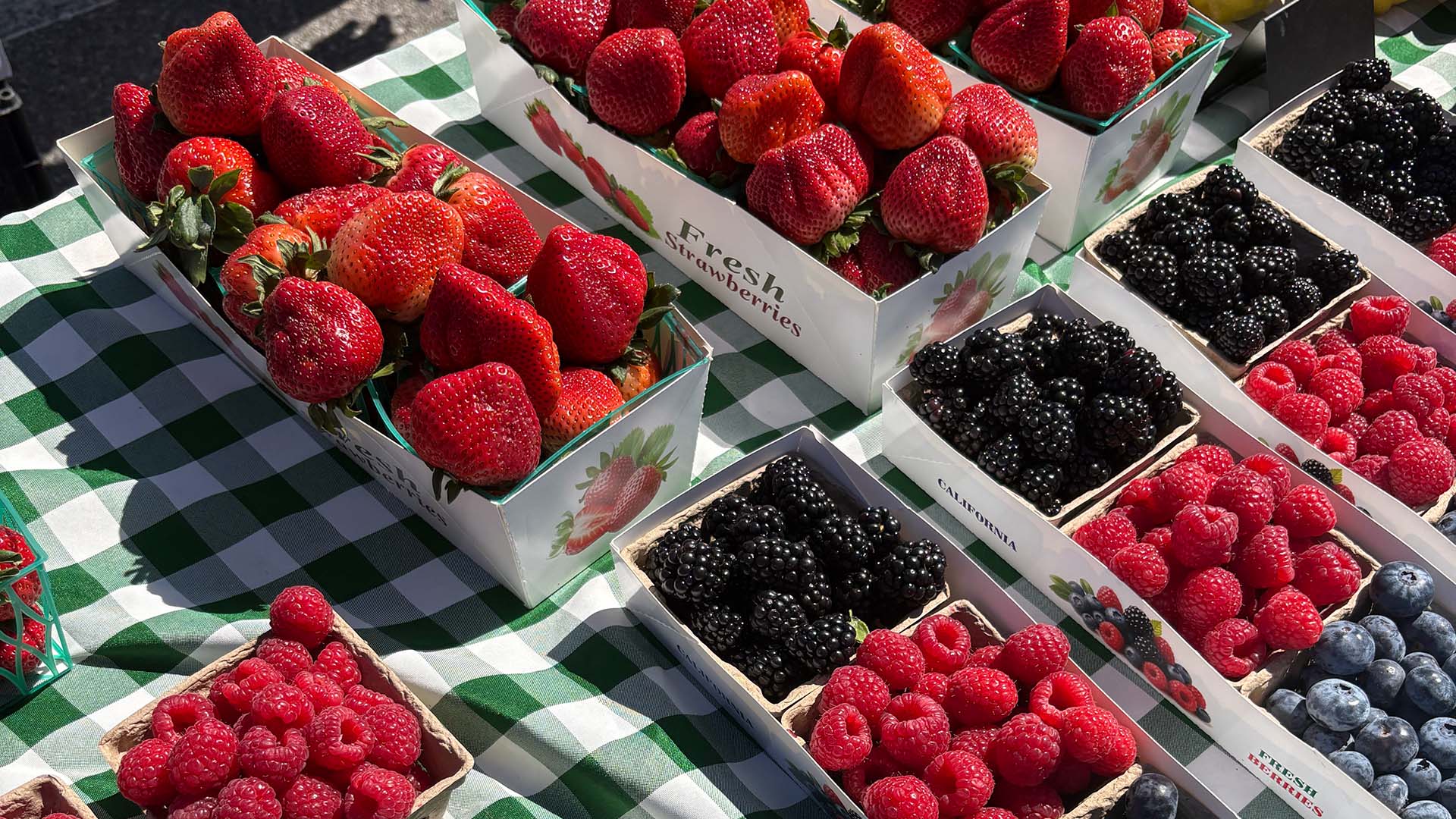 Fresh Finds, Local Vibes